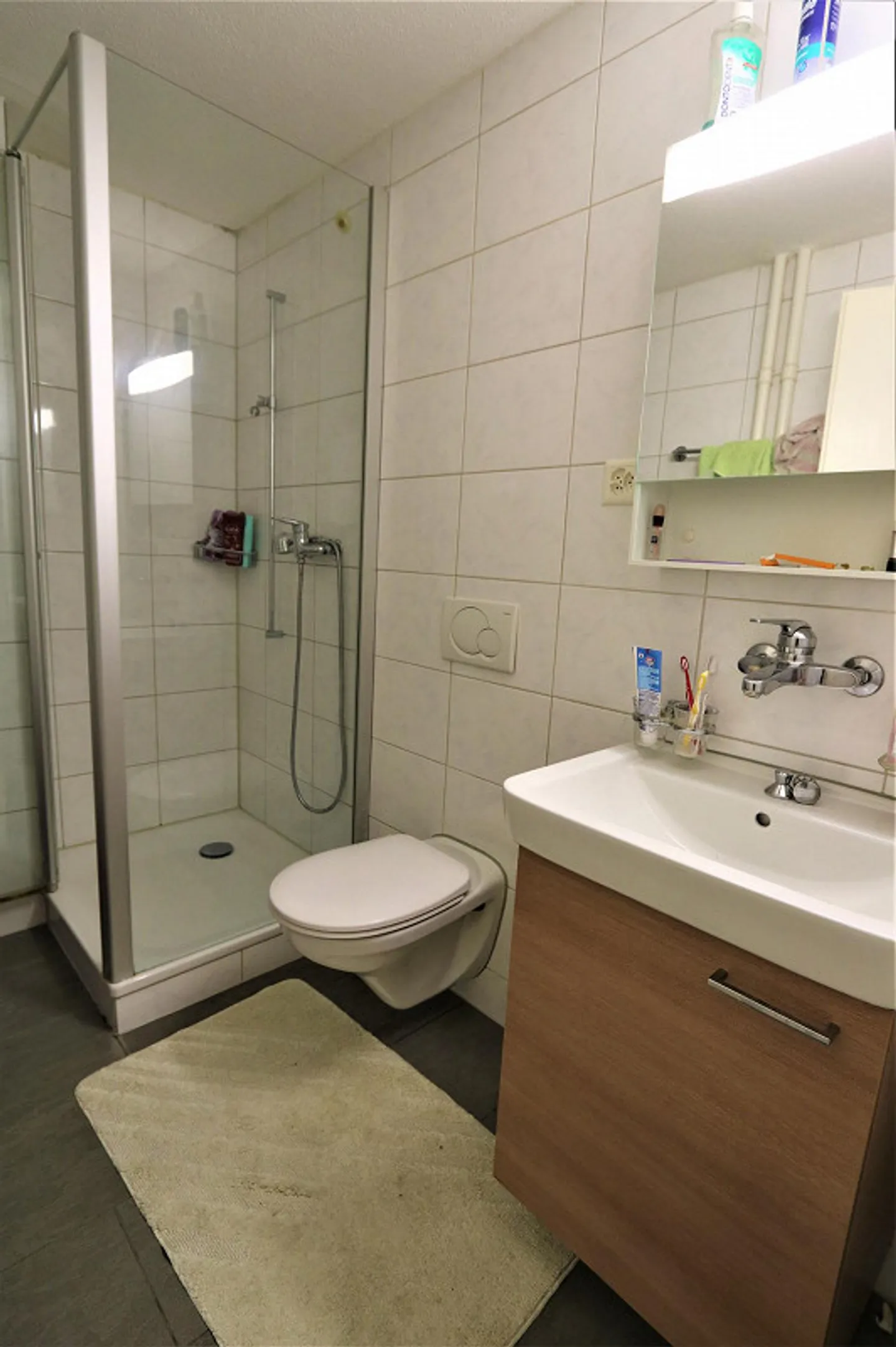 Apartment near the park - Photo 3 of 9