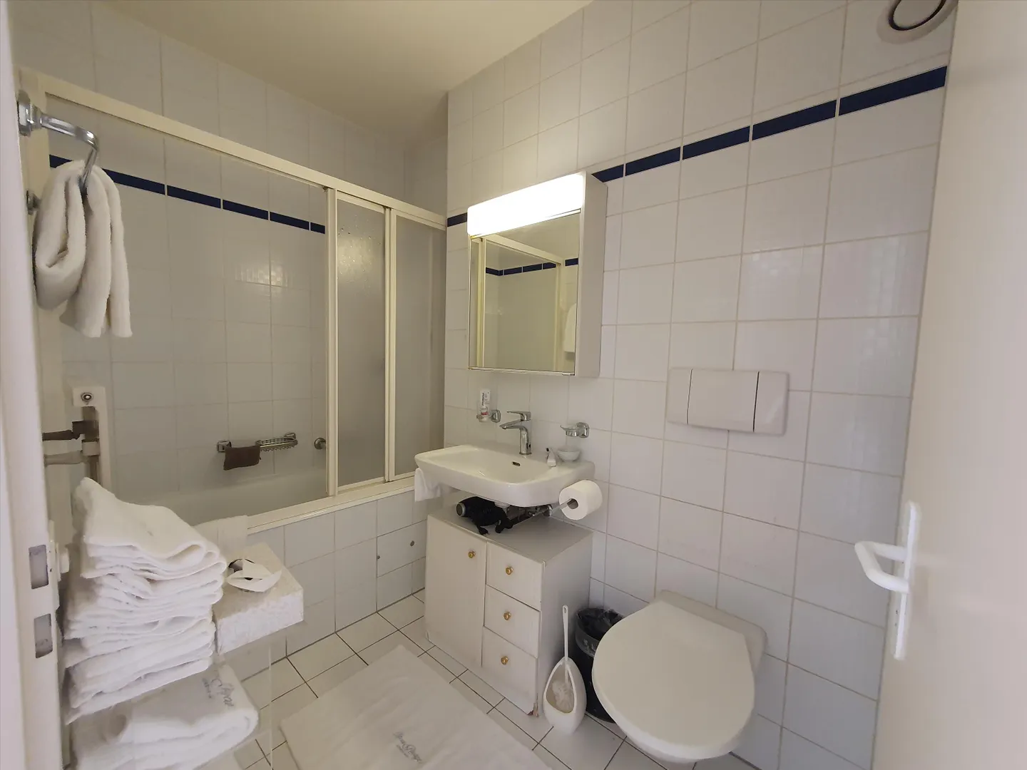 Duplex avec Terrasse à Genève - Photo 4 sur 12