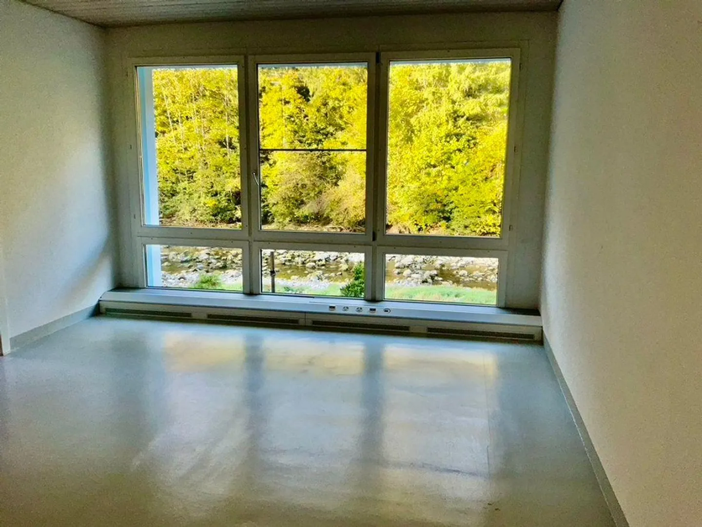 Propriété commerciale représentative à Hirzel - Photo 3 sur 6