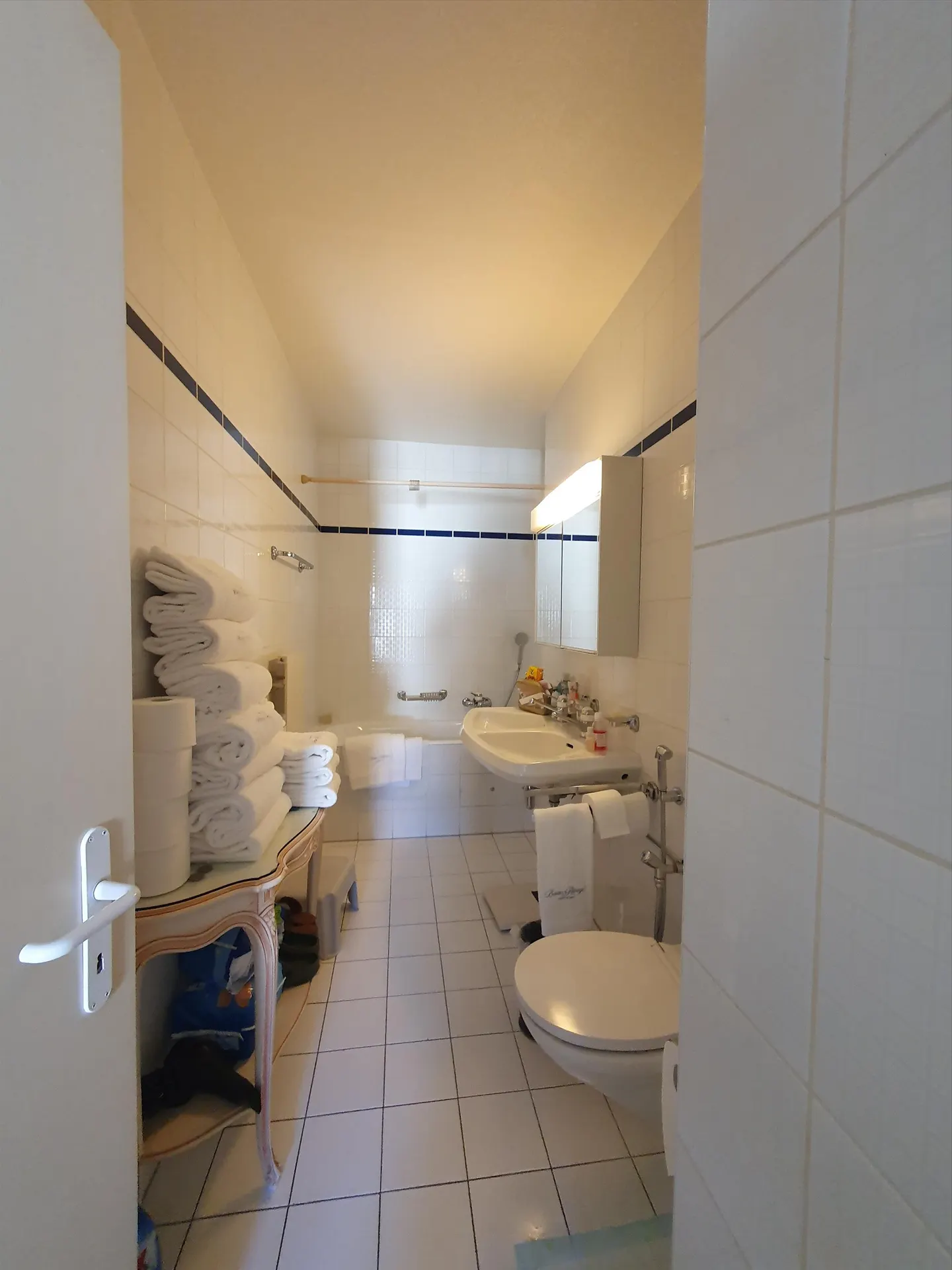 Duplex avec Terrasse à Genève - Photo 10 sur 12
