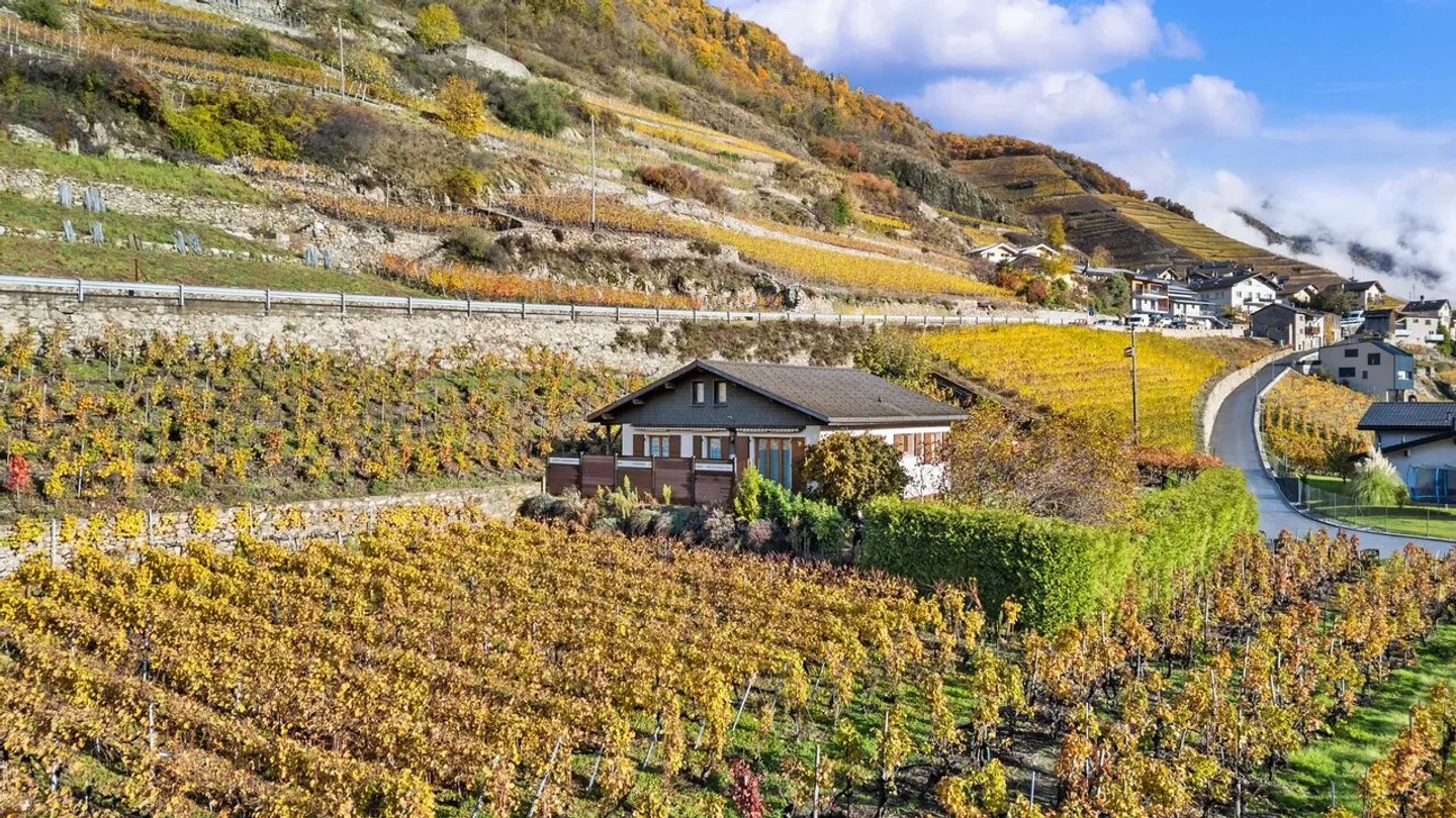 Maison à Branson - Entre vignes, soleil et tranquillité absolue ! - Photo 3 sur 36