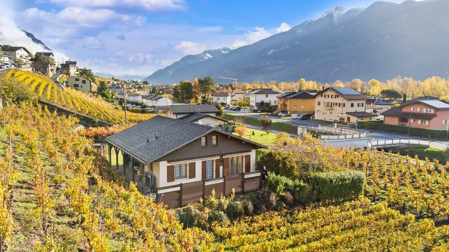 Maison à Branson - Entre vignes, soleil et tranquillité absolue ! - Photo 30 sur 36