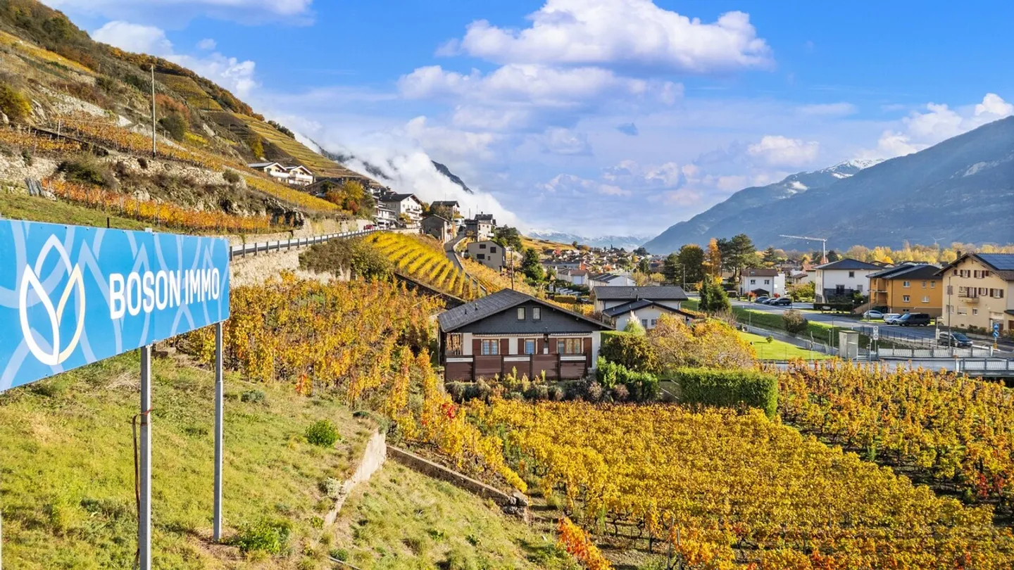 Maison à Branson - Entre vignes, soleil et tranquillité absolue ! - Photo 31 sur 36