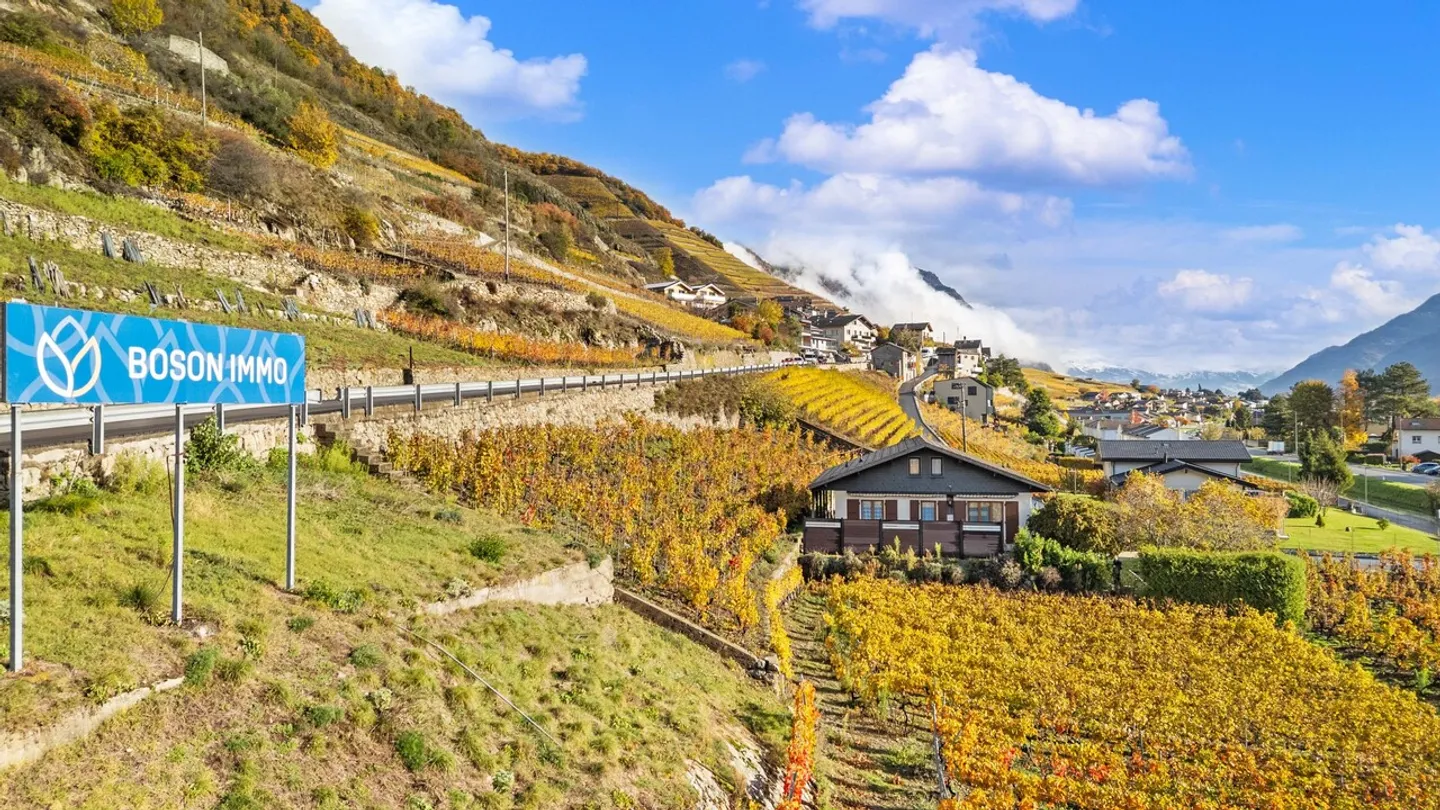 Maison à Branson - Entre vignes, soleil et tranquillité absolue ! - Photo 32 sur 36