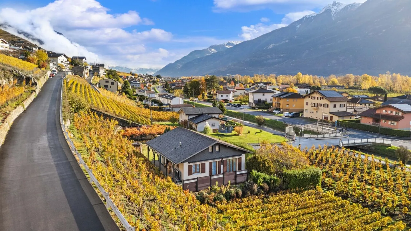 Maison à Branson - Entre vignes, soleil et tranquillité absolue ! - Photo 33 sur 36