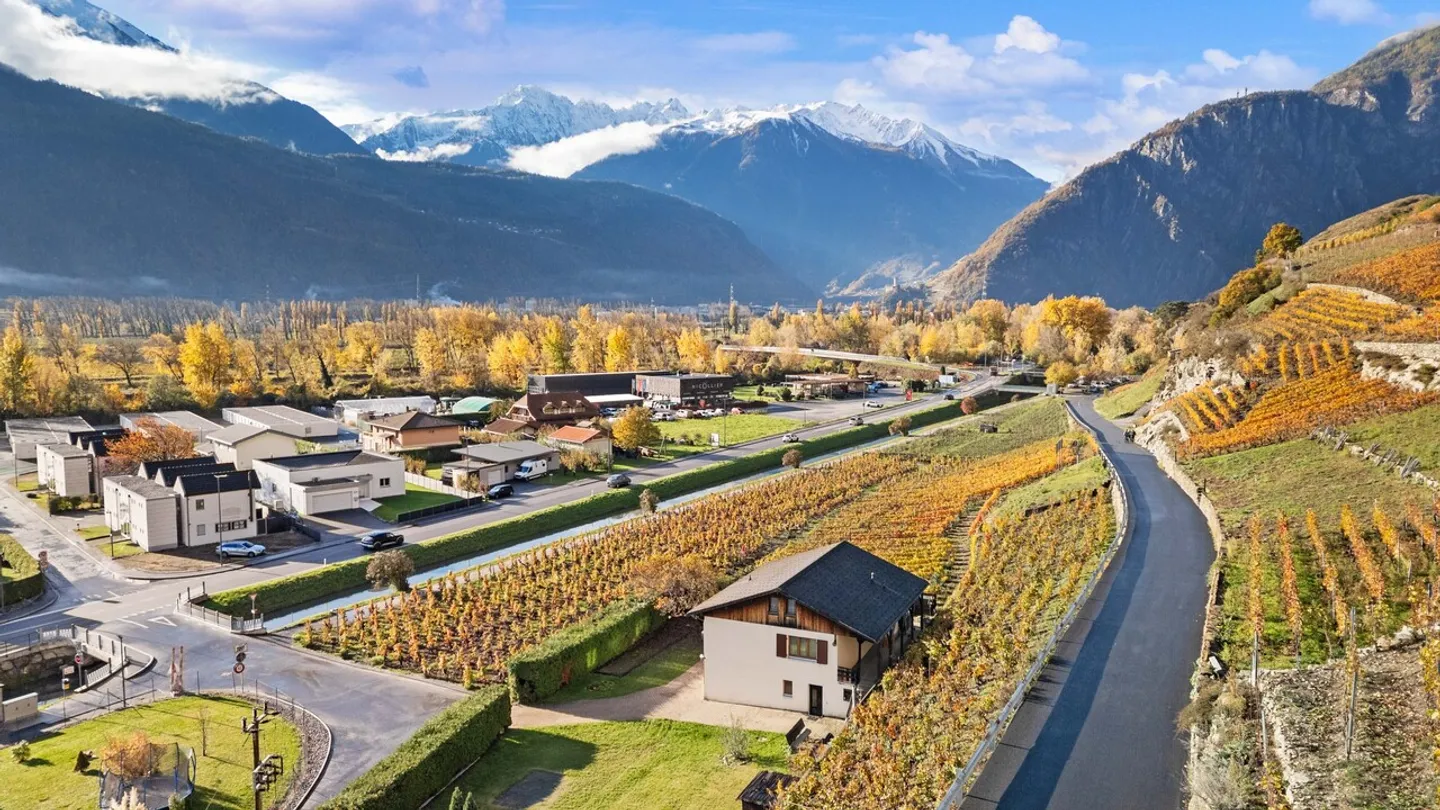 Maison à Branson - Entre vignes, soleil et tranquillité absolue ! - Photo 35 sur 36