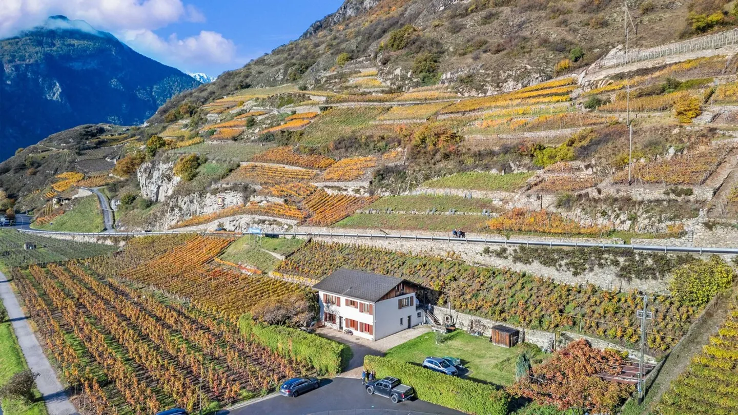 Maison à Branson - Entre vignes, soleil et tranquillité absolue ! - Photo 36 sur 36