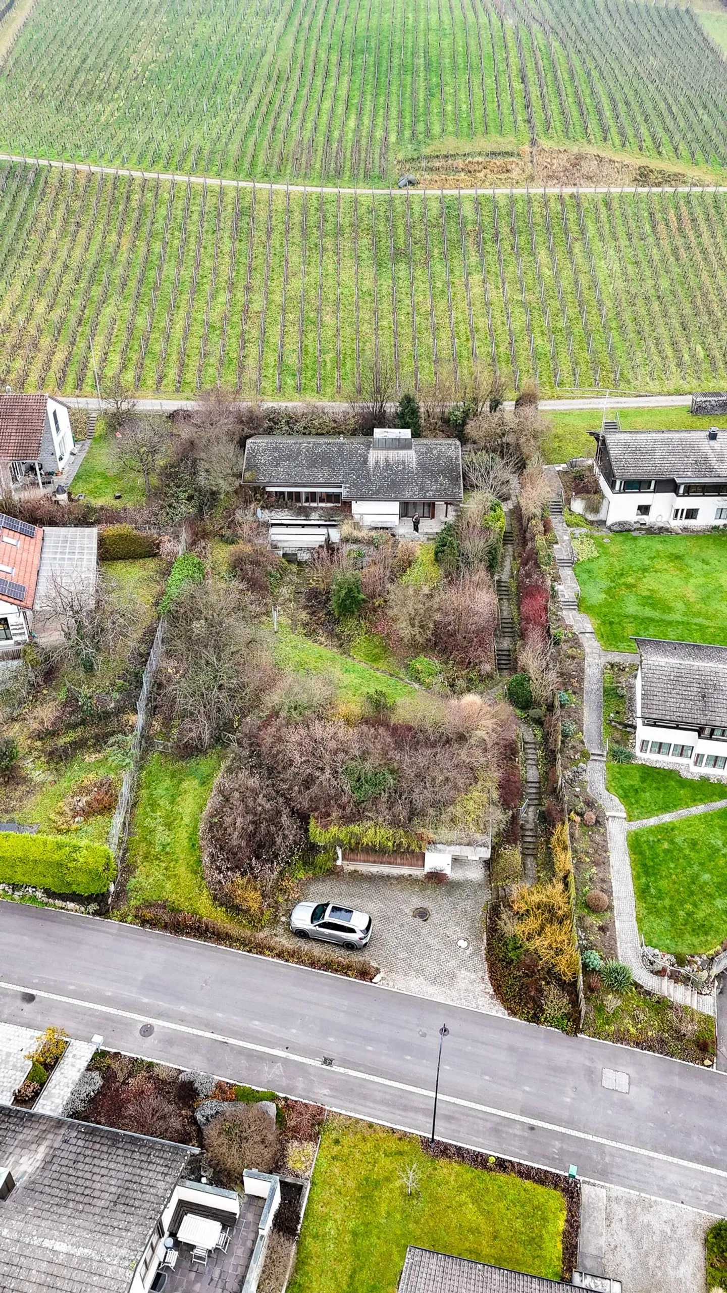 Unica casa unifamiliare di 6½ stanze sulla pendice della vigna/1564 m2 di terreno - Foto 3 di 10