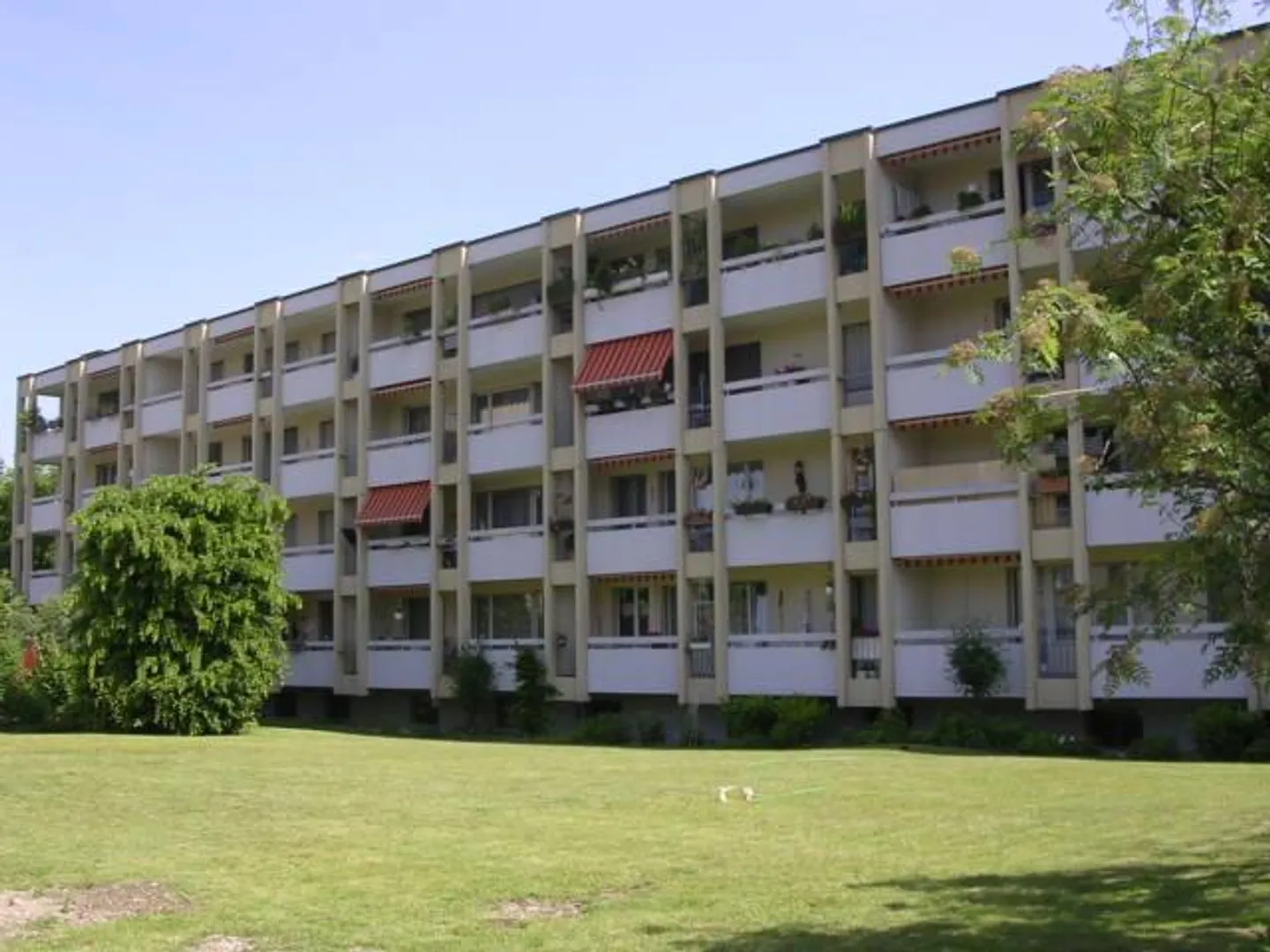 Luminoso appartamento di 1,5 stanze con charme a Suhr - Foto 1 di 6