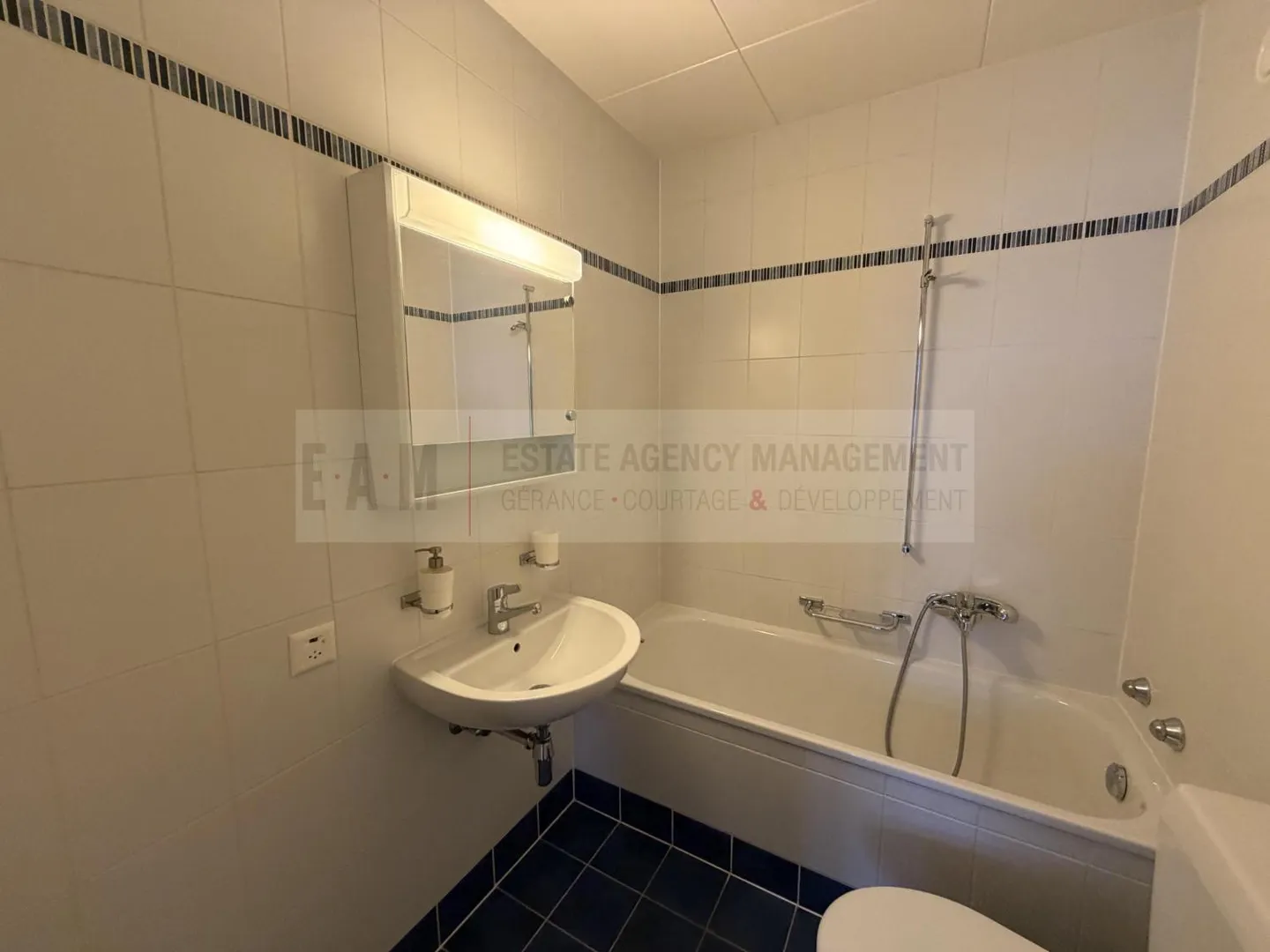 Charming 3P Apartment in Champel - Photo 4 of 4