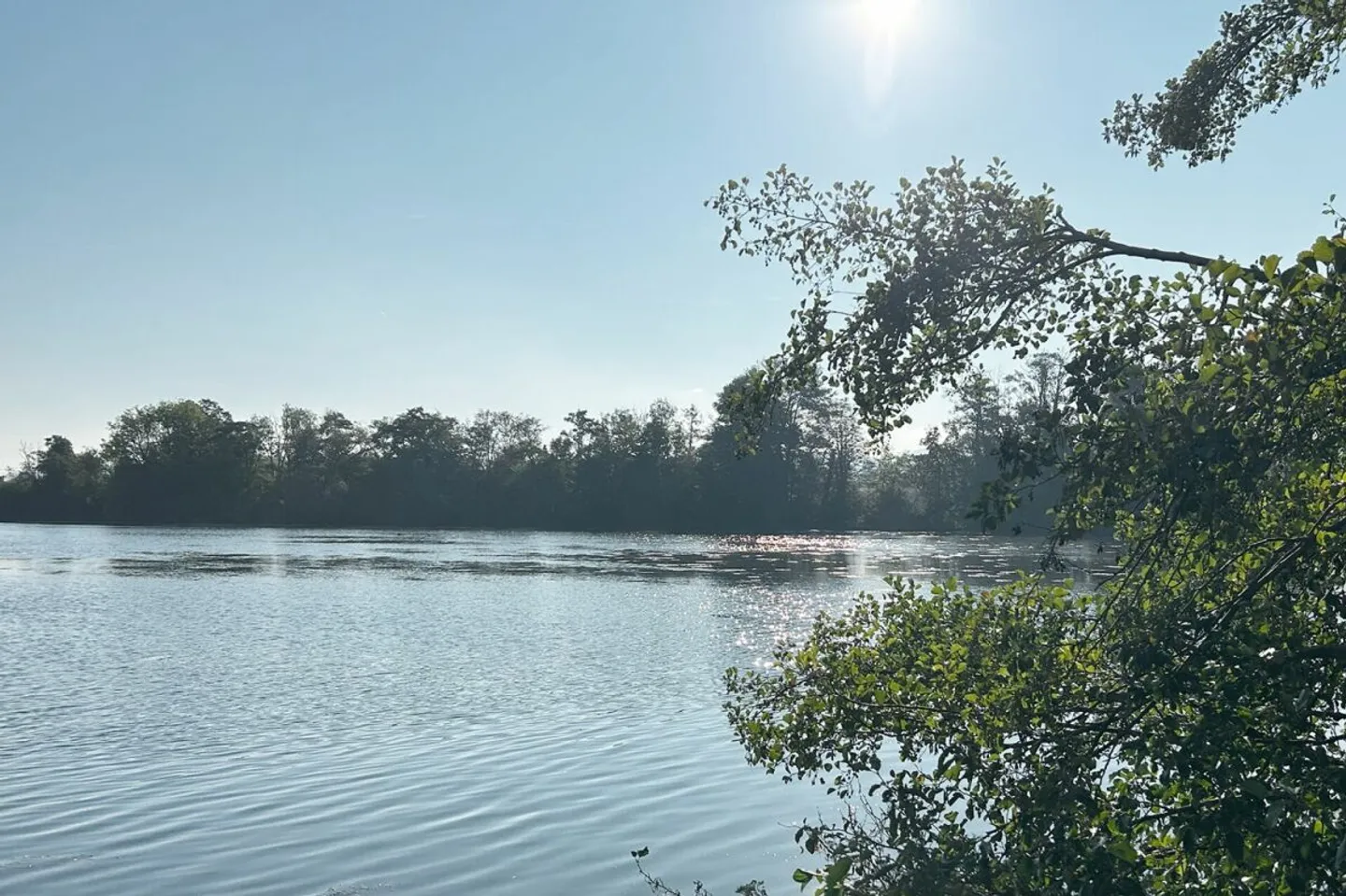 Appartements penthouse élégants de 3,5 pièces avec galerie à Augst BL - Photo 10 sur 11
