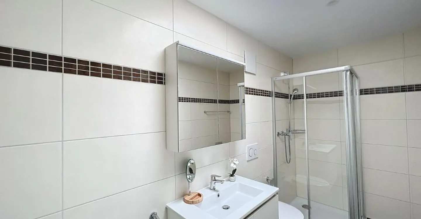 3 ½ BRIGHT ROOMS - In the attic! - Photo 8 of 12
