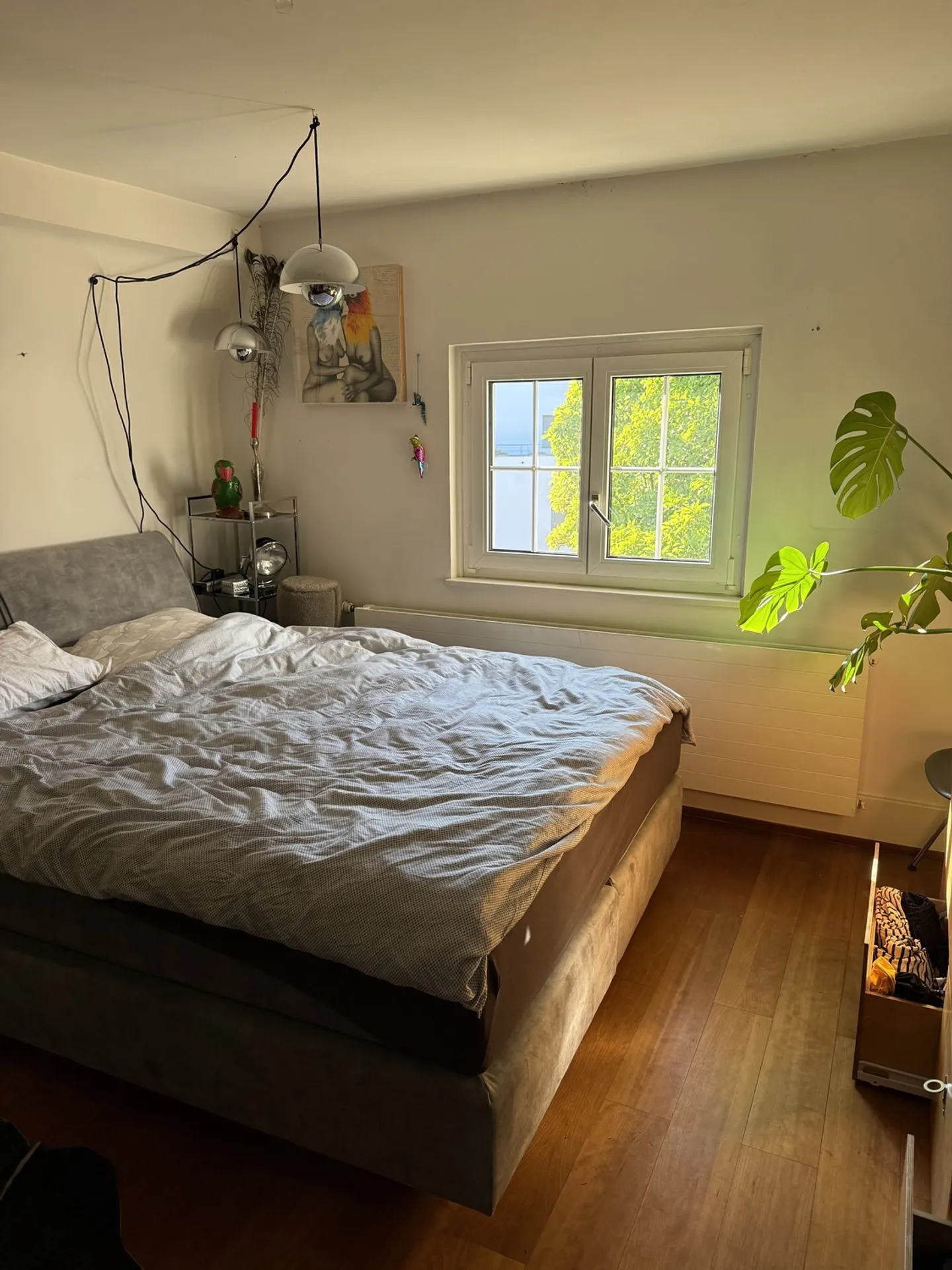 Charming Apartment in Historic Villa - Photo 3 of 4