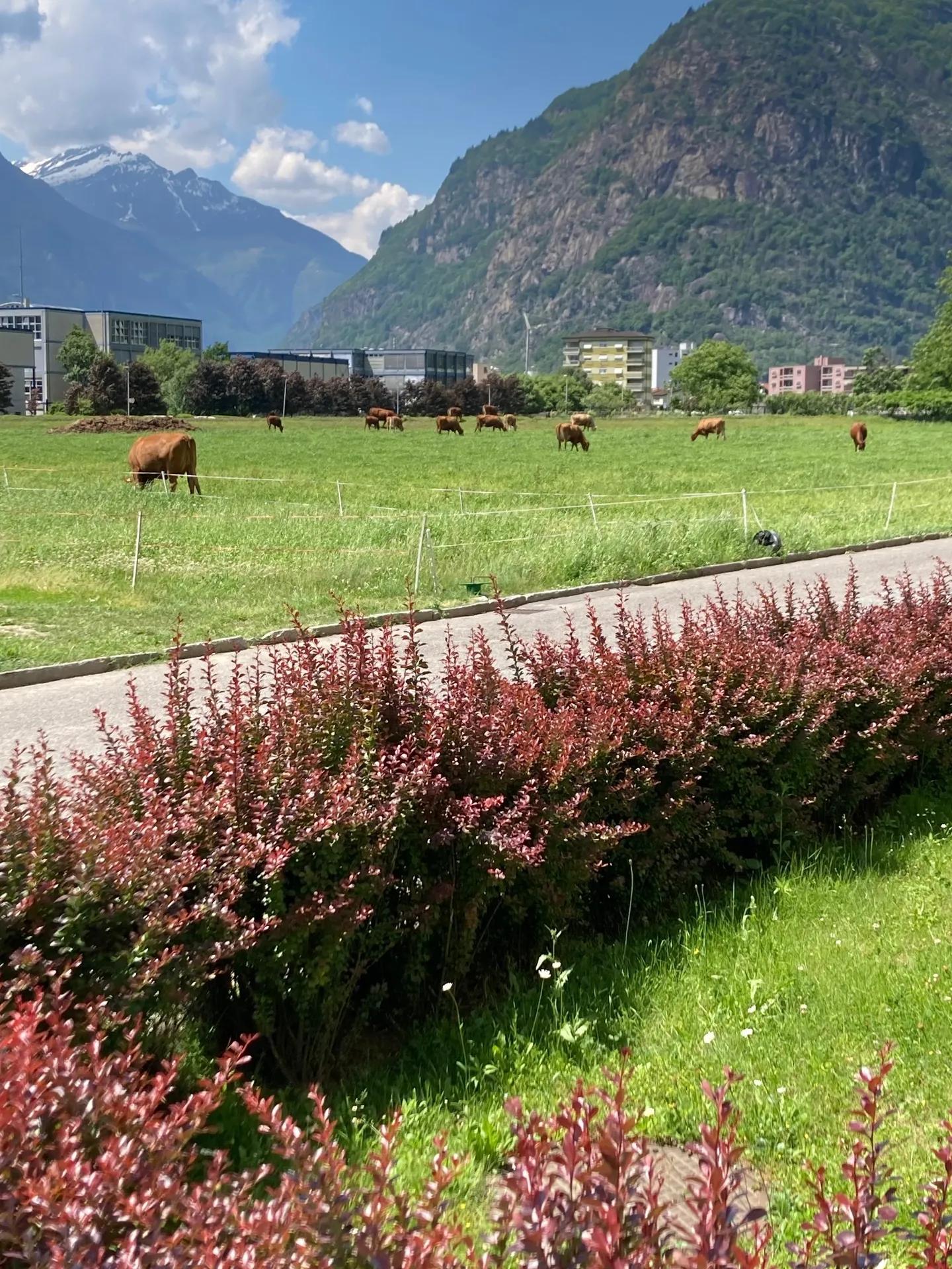 Bright 3.5-room apartment with balcony and park - Photo 1 of 12