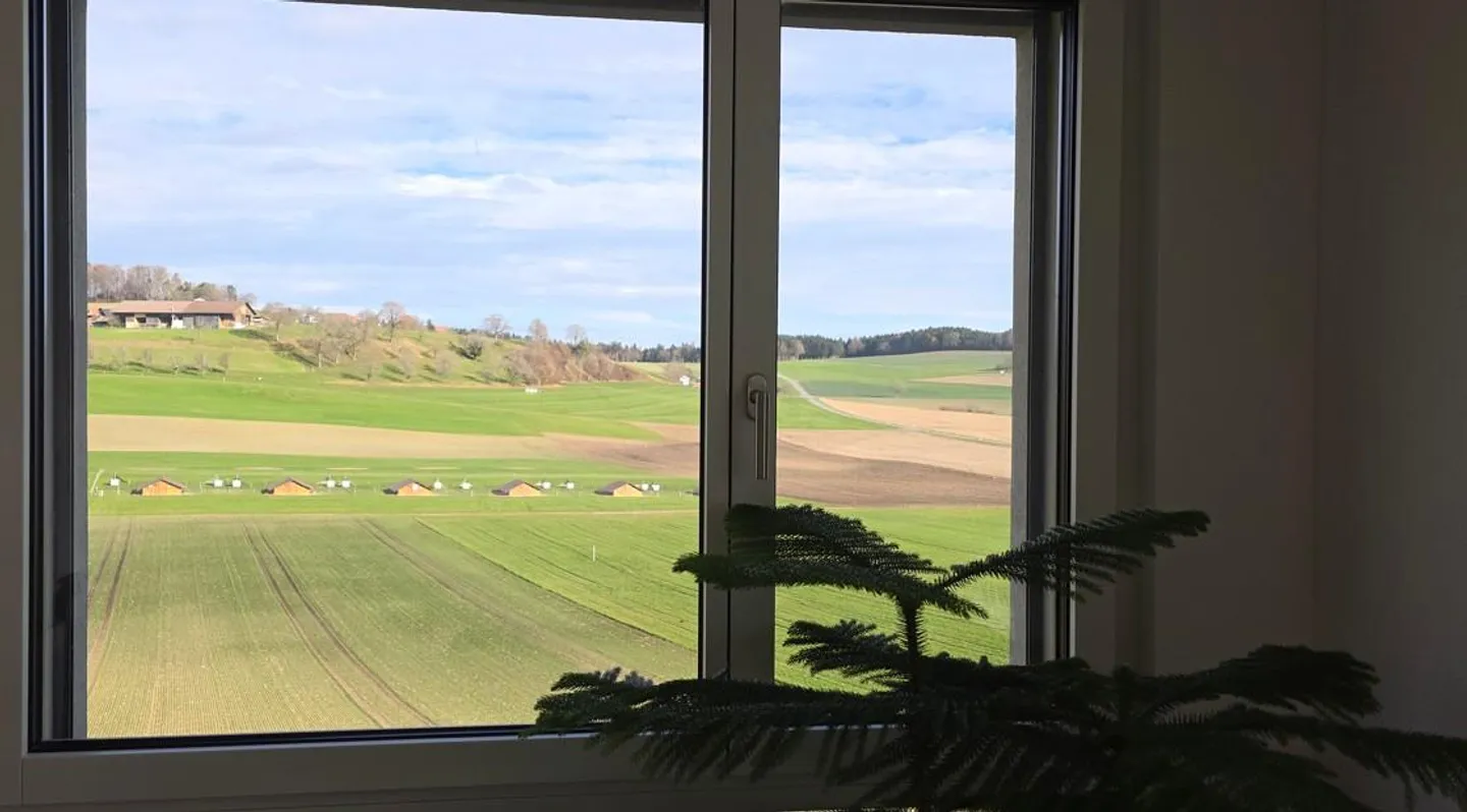 Appartement penthouse de 3,5 pièces à louer - Photo 10 sur 11