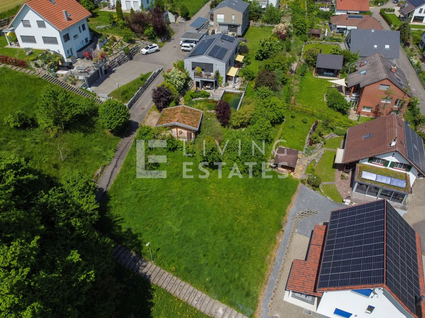 AMORE PURO DELLA TERRA - Foto 5 di 13