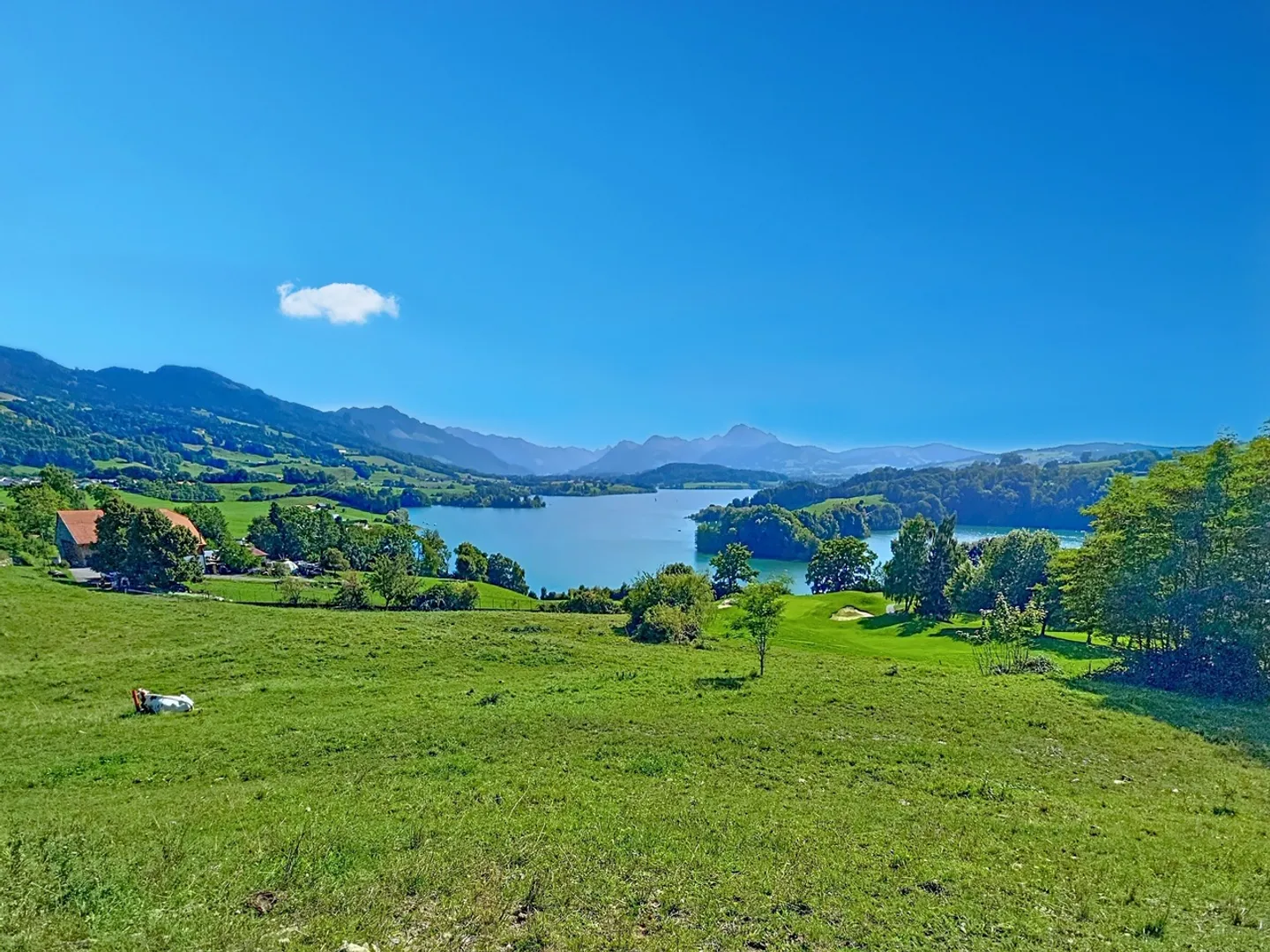 Natura-Calma-Famiglia-Armonia-Ultima Doppia - Foto 14 di 14
