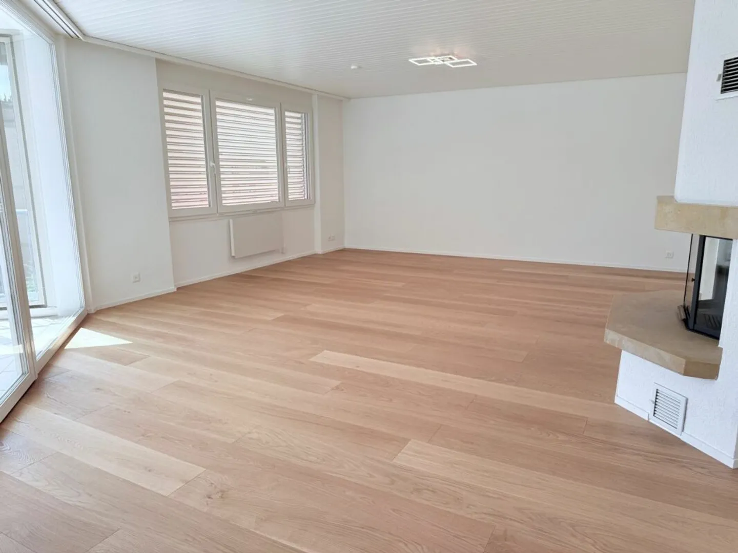 Penthouse entièrement rénové de 6 pièces avec grand jardin d'hiver - Photo 7 sur 23