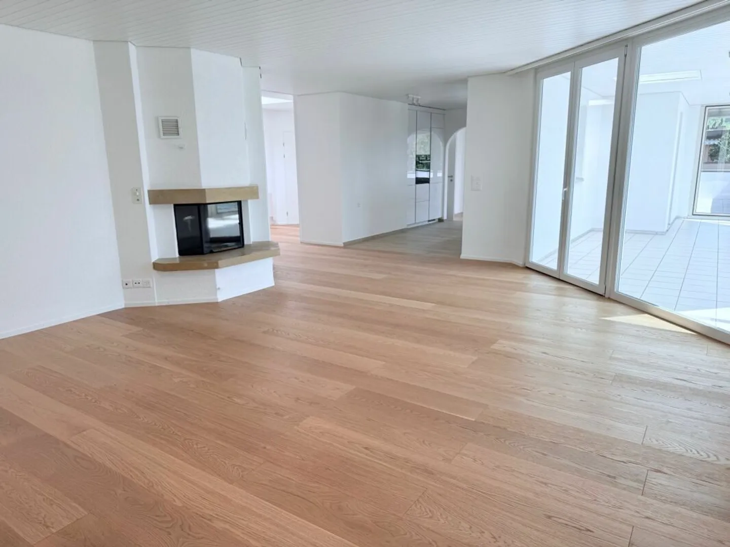 Penthouse entièrement rénové de 6 pièces avec grand jardin d'hiver - Photo 6 sur 23