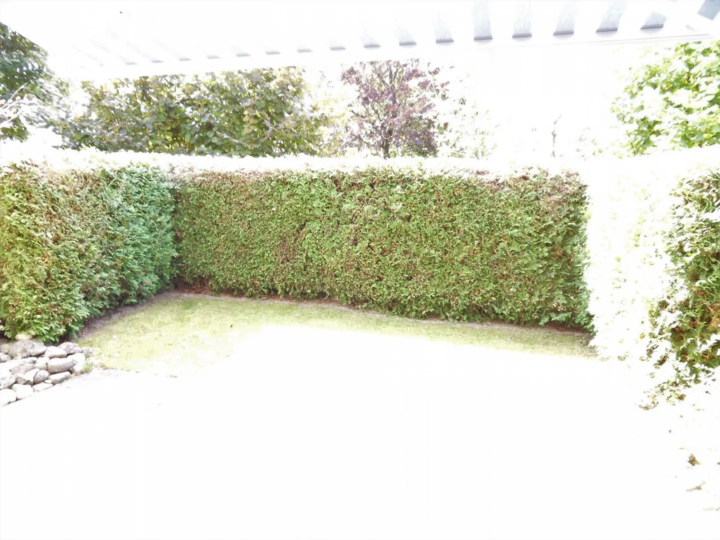 Helle Wohnung mit Garten - Foto 6 von 6