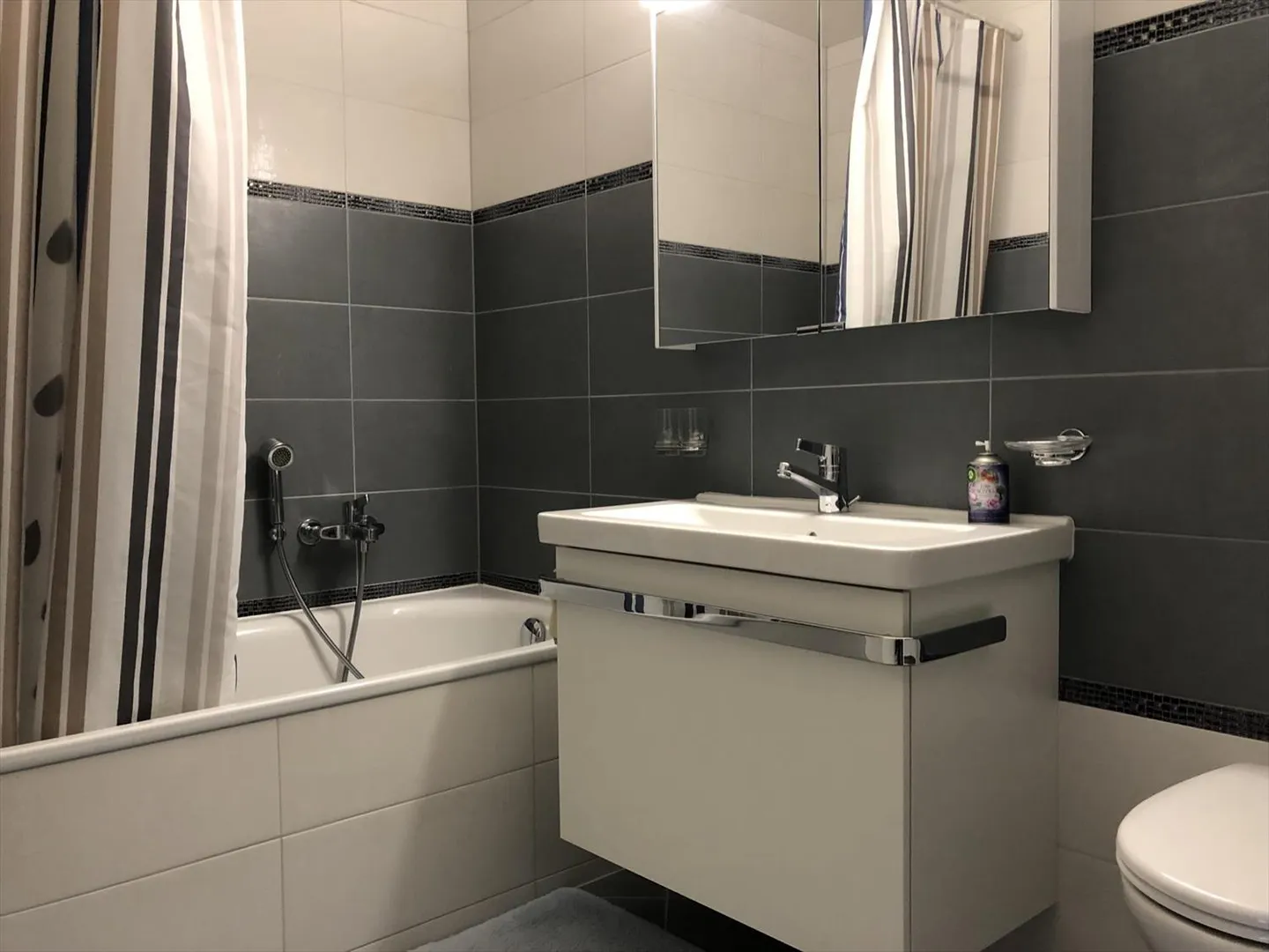 Furnished 3.5 Room Apartment - Photo 10 of 10