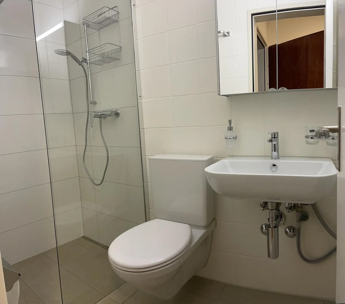 Bright spacious 4 1/2 room apartment - Photo 10 of 15
