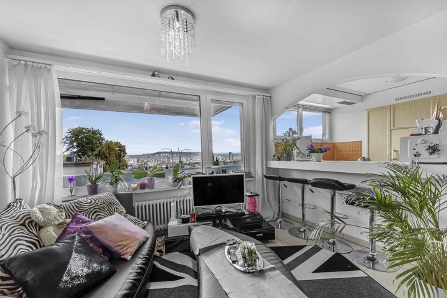 WONDERFUL VIEW IN THE CITY OF ZURICH - Photo 3 of 8