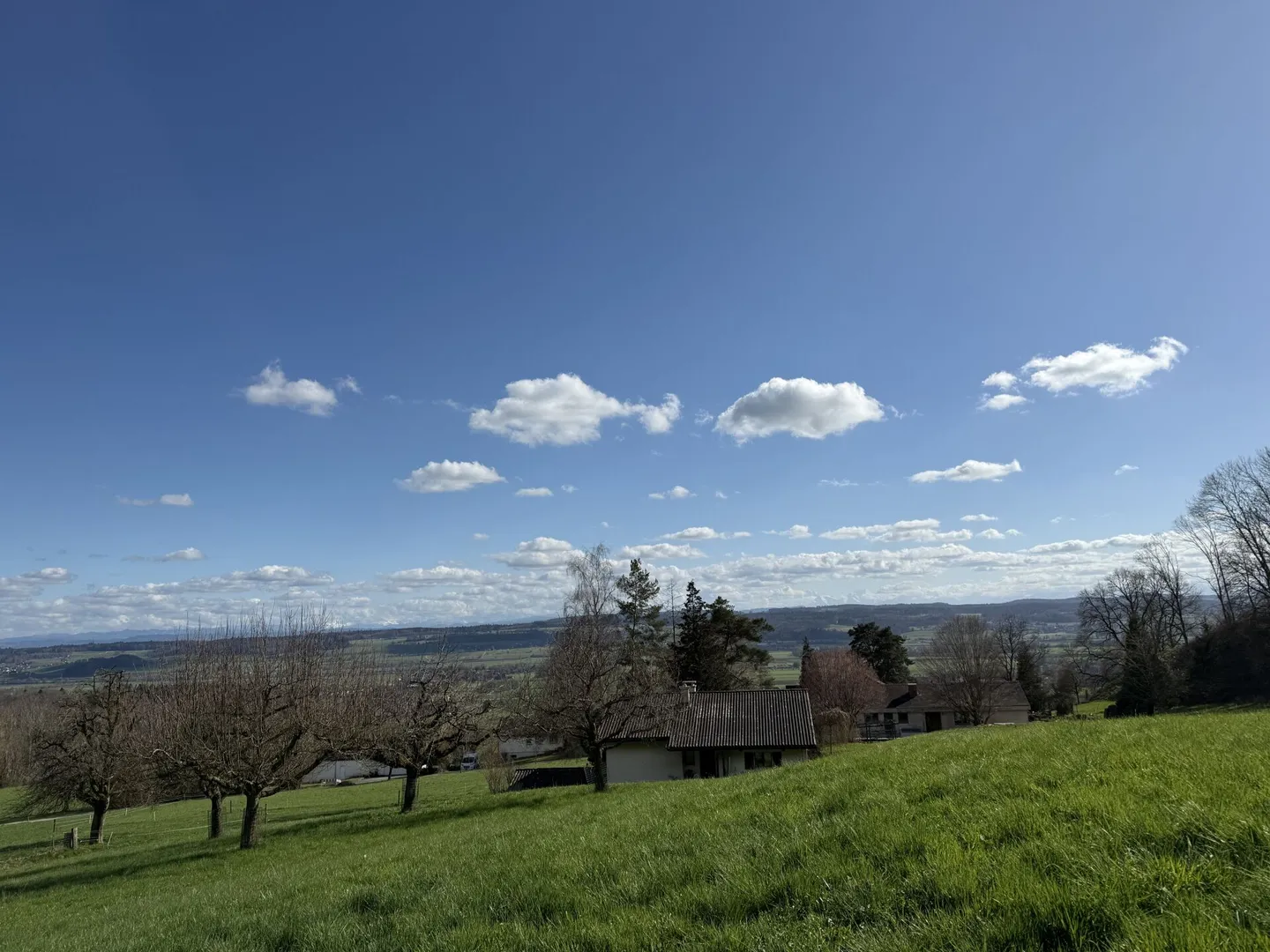 Beautifully located 4.5-room single-family house with the best view - Photo 14 of 14