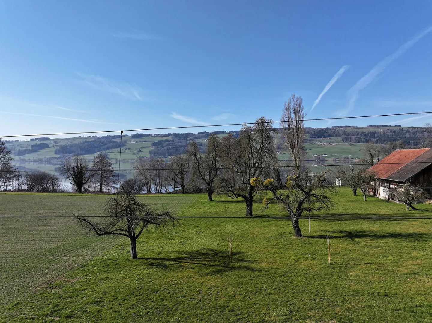 «Turmfalke» in Gelfingen: Wohn- und Lebensgenuss am Baldeggersee. - Foto 4 von 5