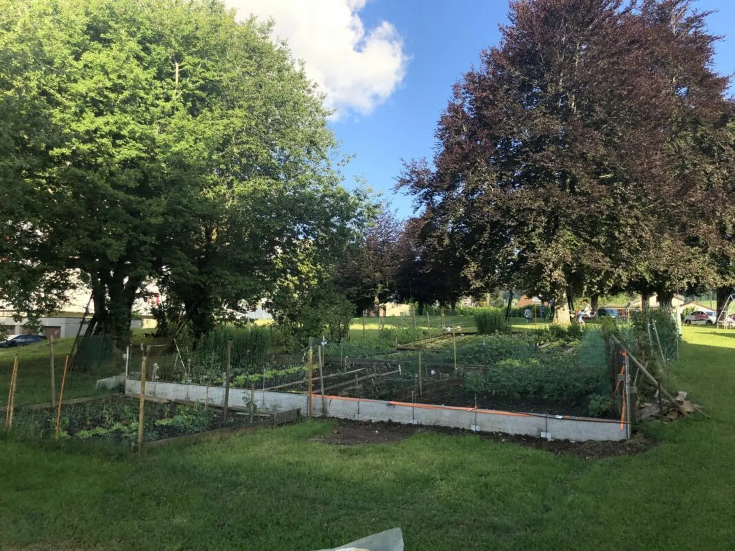 Splendido appartamento di 4,5 stanze in un ambiente tranquillo - Foto 15 di 16