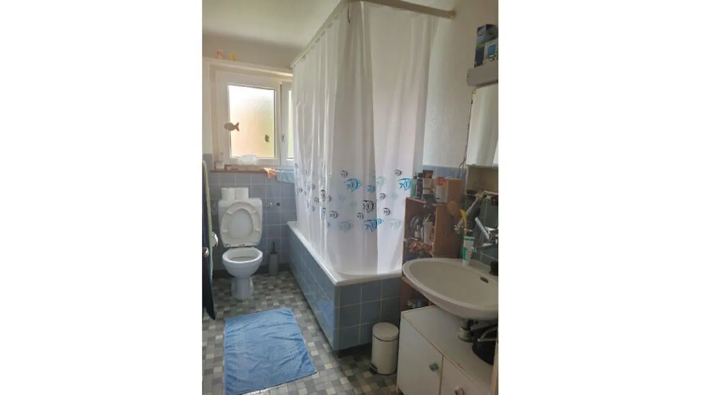 3½ ROOM APARTMENT IN CHAM (ZG), FURNISHED, TEMPORARY - Photo 5 of 7