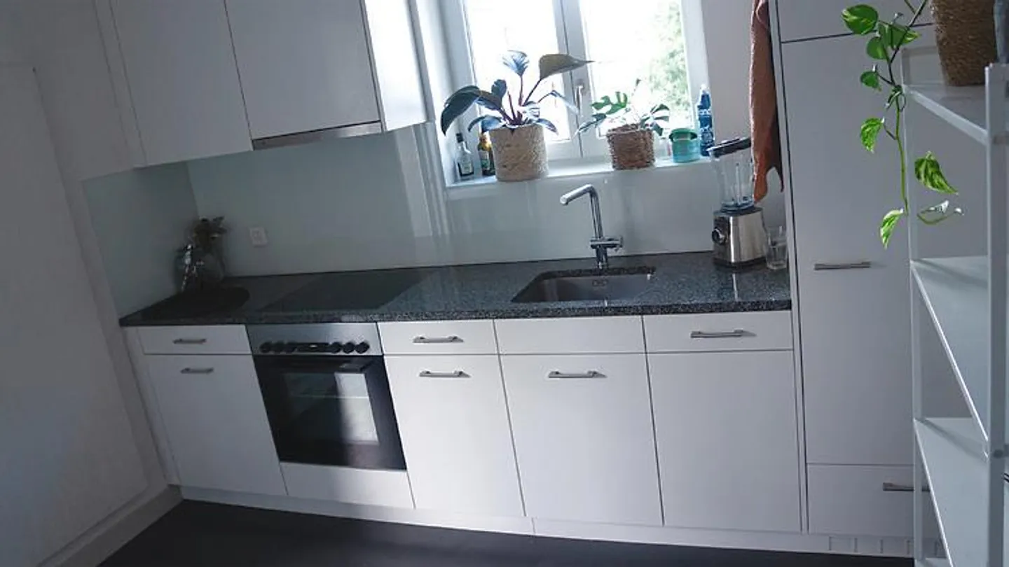 APPARTEMENT 2 PIÈCES À ST. GALLEN, MEUBLÉ, TEMPORAIRE - Photo 6 sur 10
