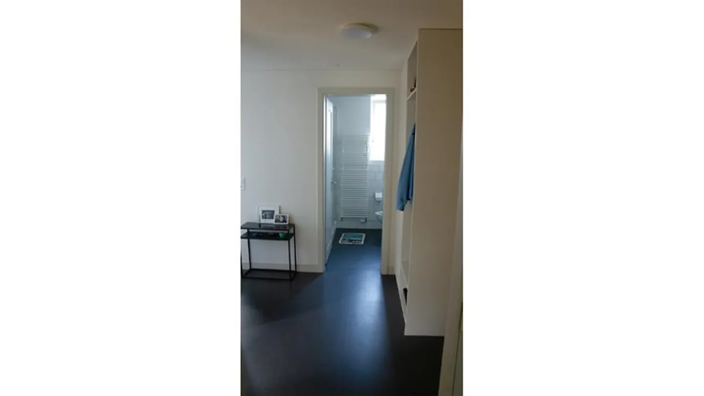 APPARTEMENT 2 PIÈCES À ST. GALLEN, MEUBLÉ, TEMPORAIRE - Photo 7 sur 10