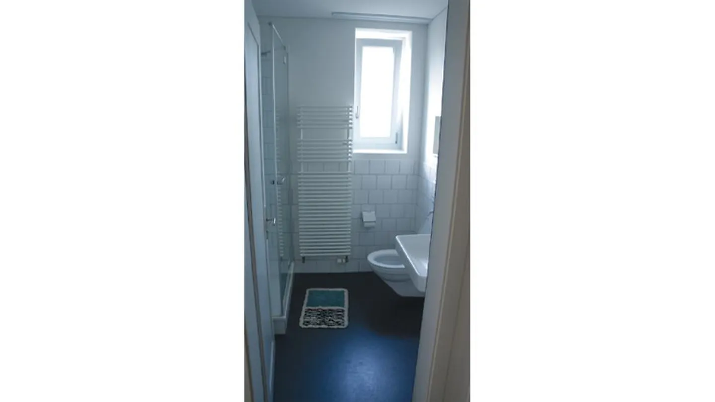 APPARTEMENT 2 PIÈCES À ST. GALLEN, MEUBLÉ, TEMPORAIRE - Photo 8 sur 10