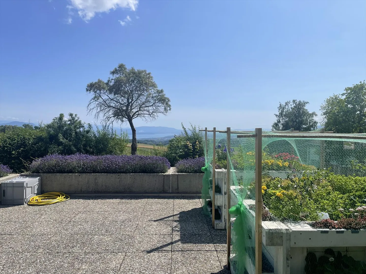 Appartamento con terrazza 3.5 stanze - Foto 9 di 9