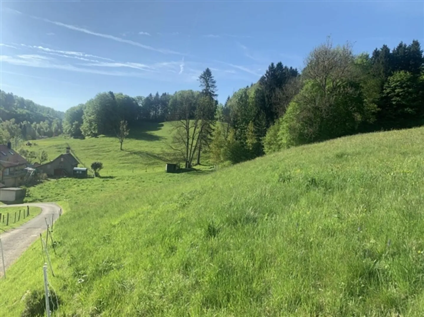 Land in Vallorbe - Photo 3 of 7