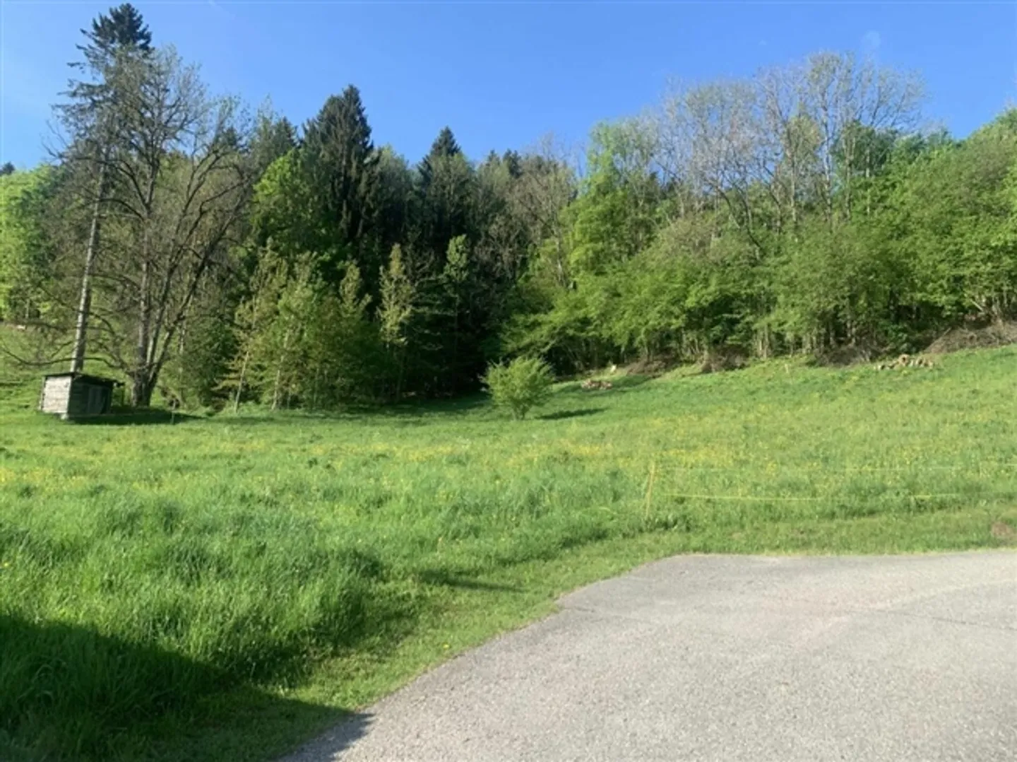 Land in Vallorbe - Photo 5 of 7