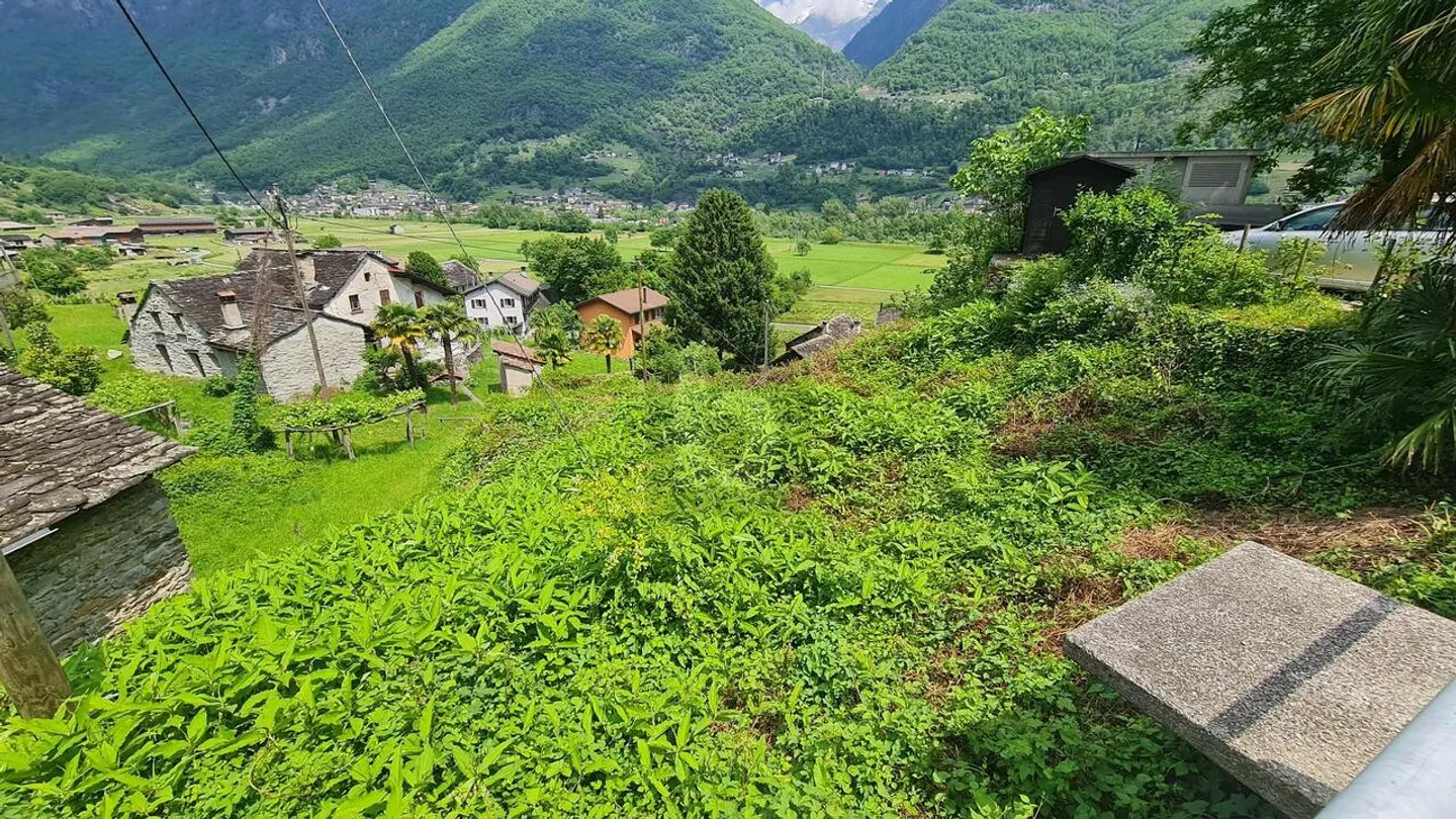 BUILDABLE LAND IN SUNNY LOCATION WITH OPEN VIEW - Photo 3 of 5