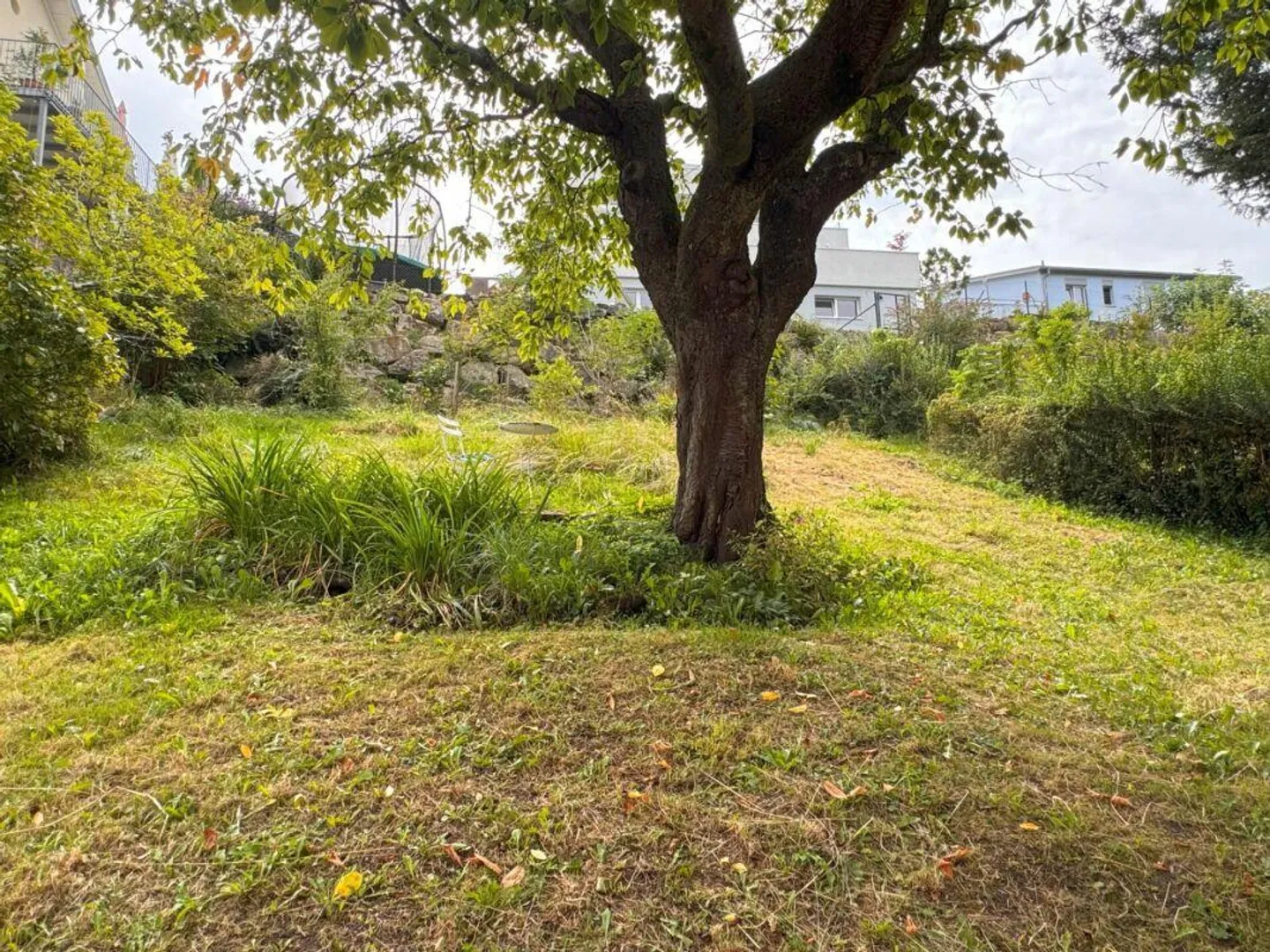 Casa plurifamiliare con 3 appartamenti, vista lago - Foto 10 di 10