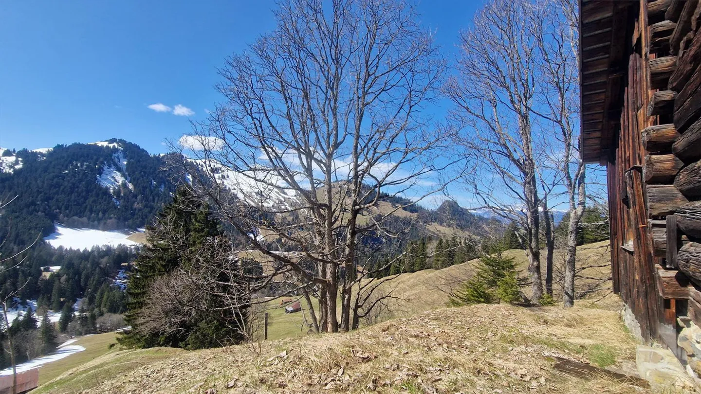 Maiensäss a Valzeina / Prättigau - Foto 3 di 4