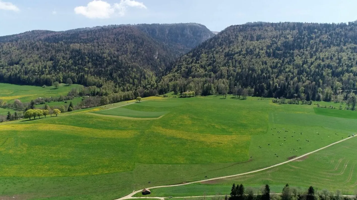 Nachhaltige Wohnungen in Villeret - Foto 10 von 11