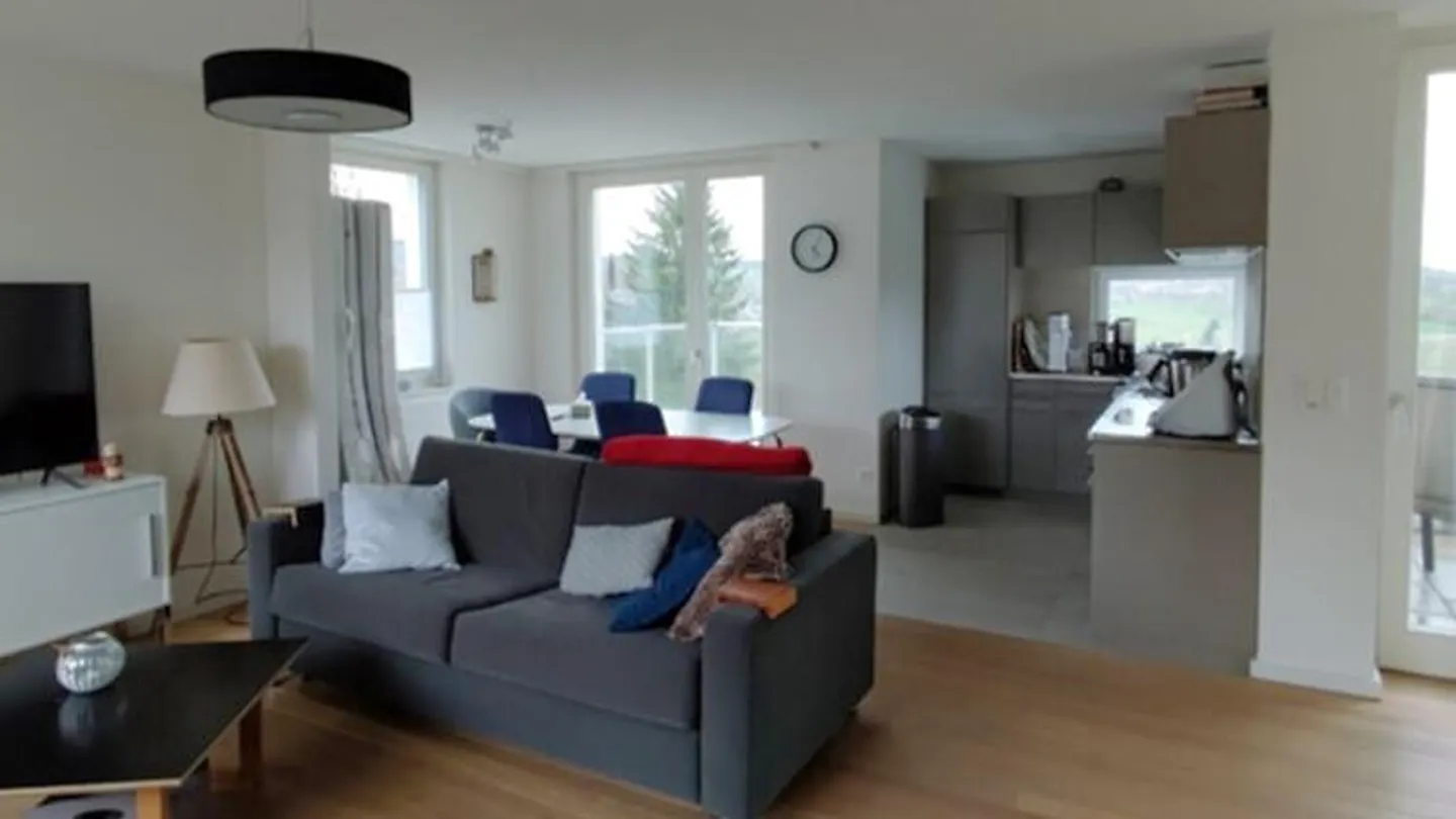 2½ ROOM PENTHOUSE APARTMENT IN DIELSDORF (ZH), FURNISHED, TEMPORARY - Photo 4 of 9