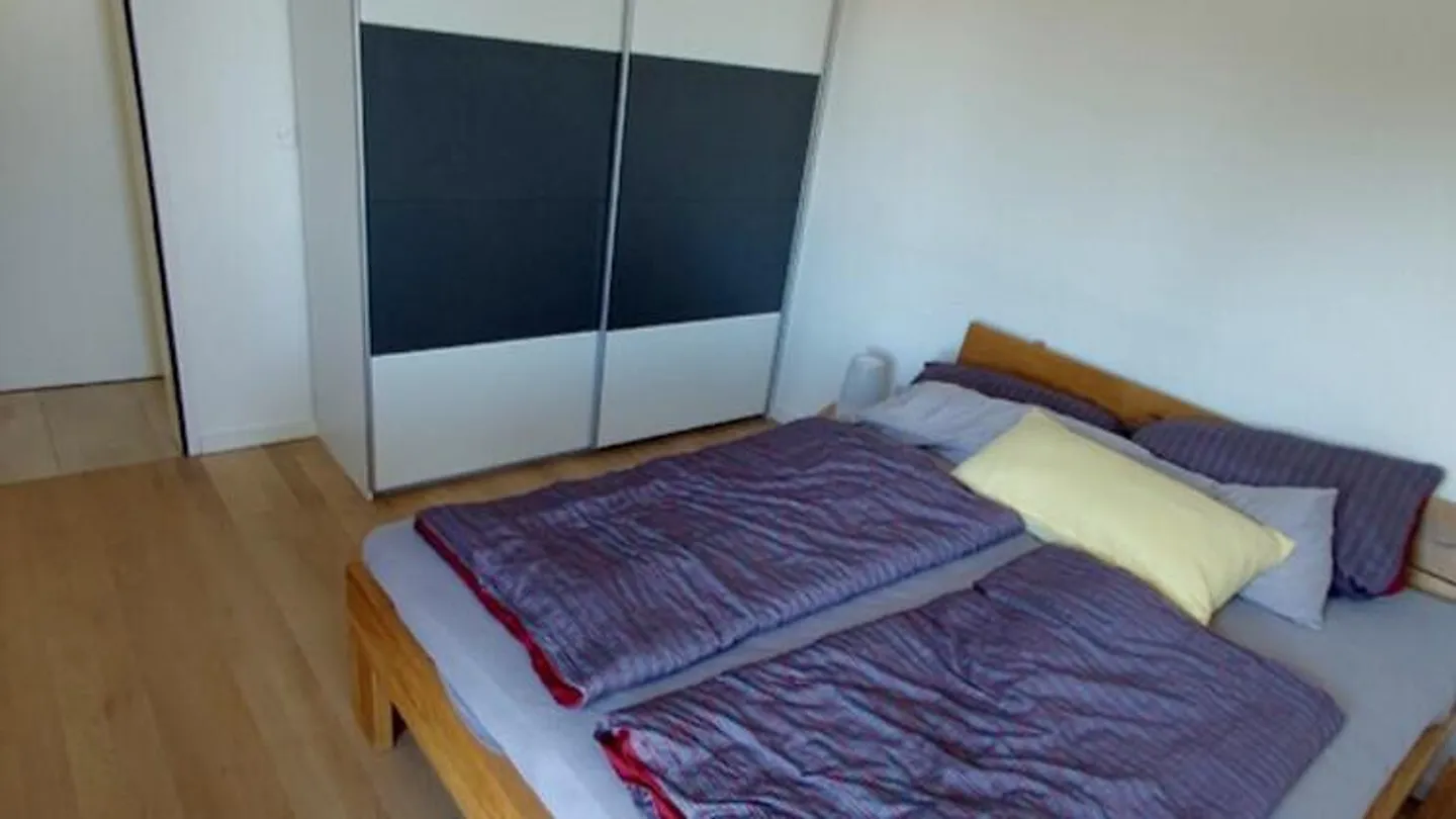 2½ ROOM PENTHOUSE APARTMENT IN DIELSDORF (ZH), FURNISHED, TEMPORARY - Photo 6 of 9