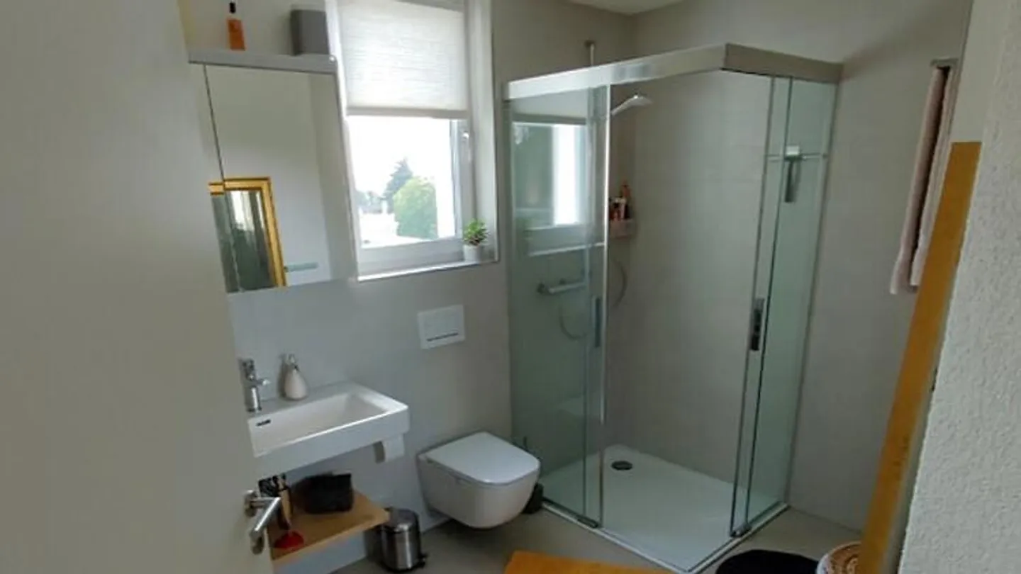2½ ROOM PENTHOUSE APARTMENT IN DIELSDORF (ZH), FURNISHED, TEMPORARY - Photo 7 of 9