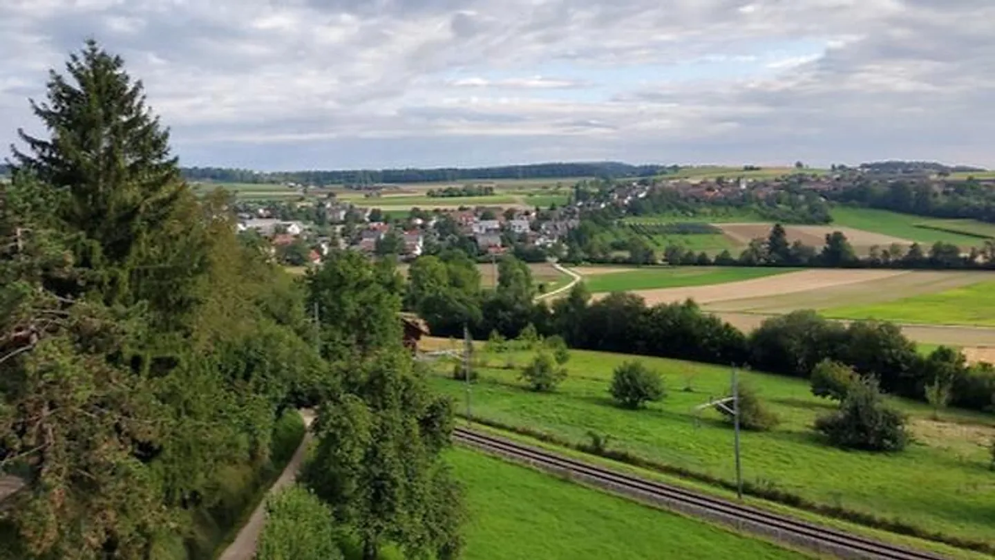 2½ ROOM PENTHOUSE APARTMENT IN DIELSDORF (ZH), FURNISHED, TEMPORARY - Photo 8 of 9