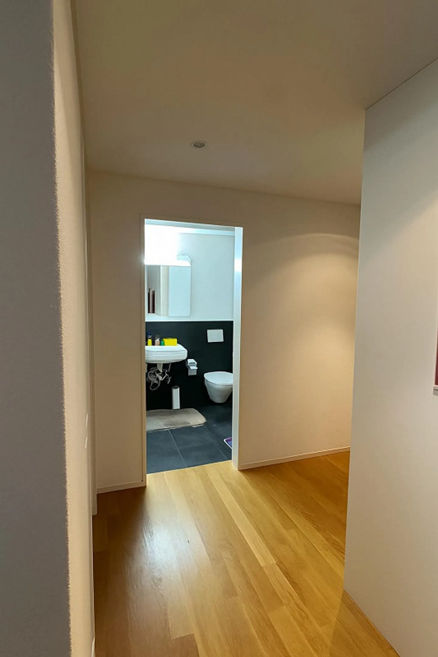 2.5 Zimmerwohnung in Au SG - Foto 4 von 8