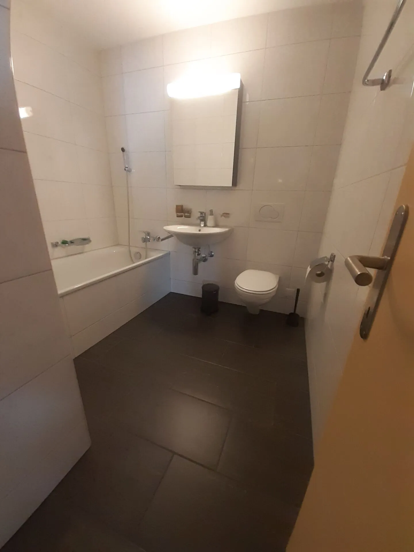 Spacious 4.5-room apartment in a central location - Photo 12 of 14