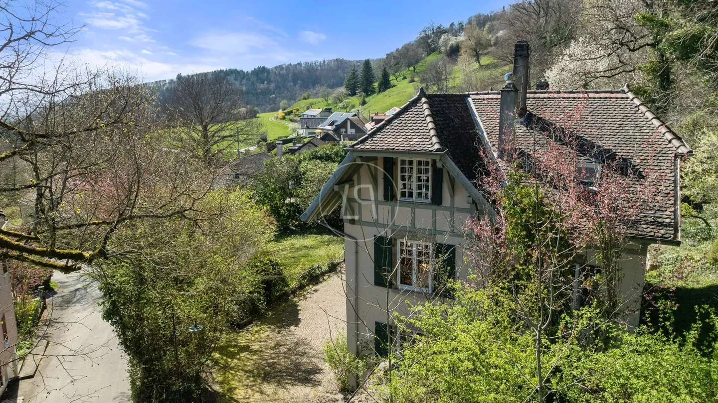 Charming 19th-Century Villa - Photo 18 of 20
