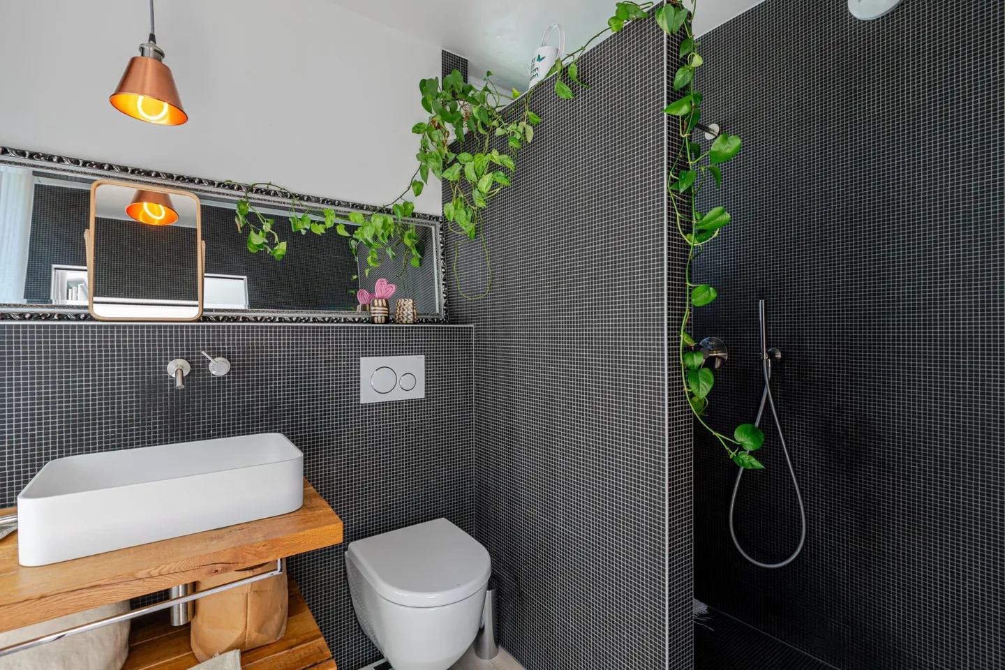 Modern Villa with Garden - Photo 10 of 20