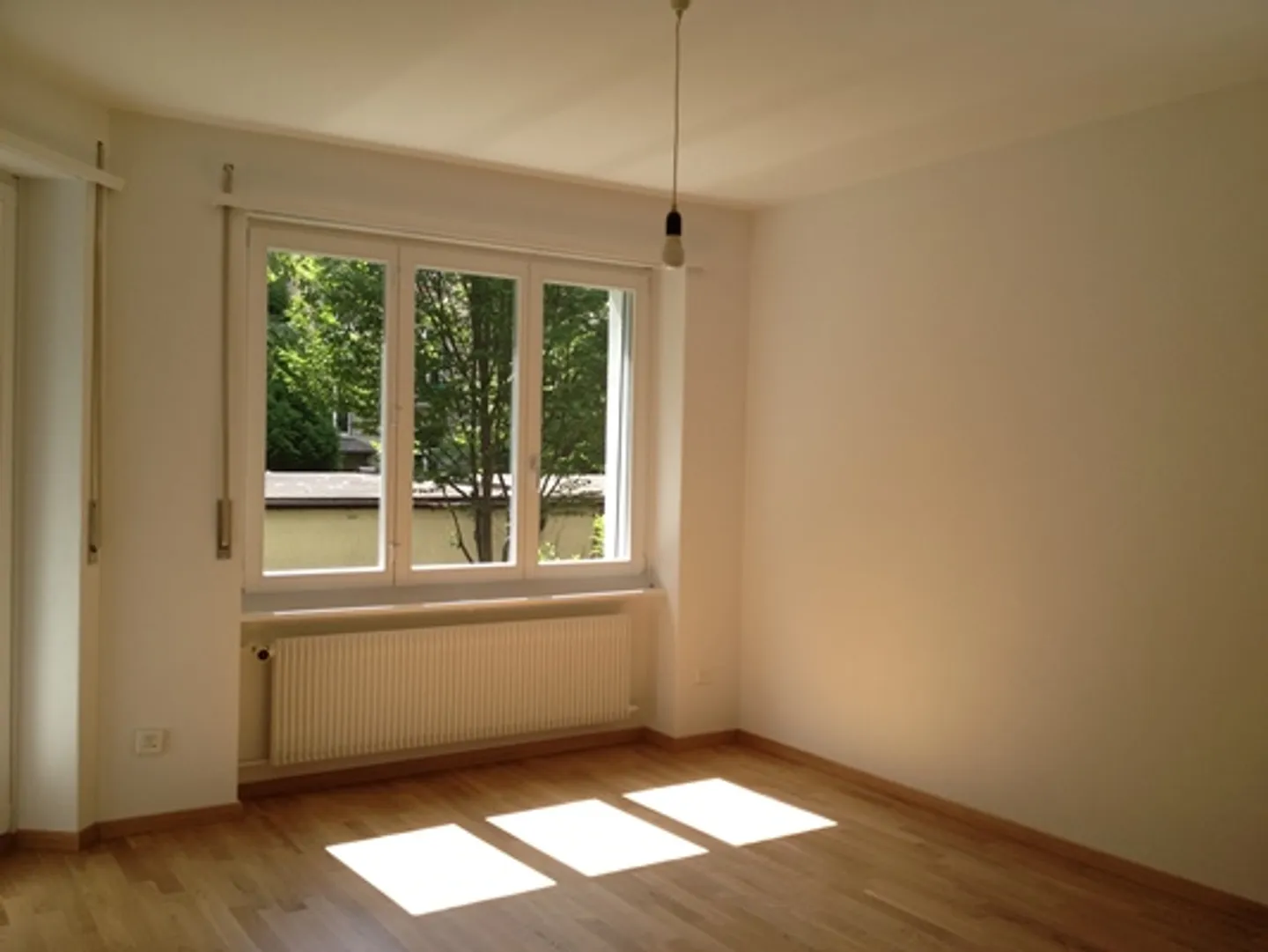 Charmante Wohnung in Länggasse - Foto 2 von 5